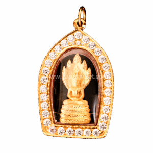 พระนาคปรก รุ่นอุดมโชค ปี 2550